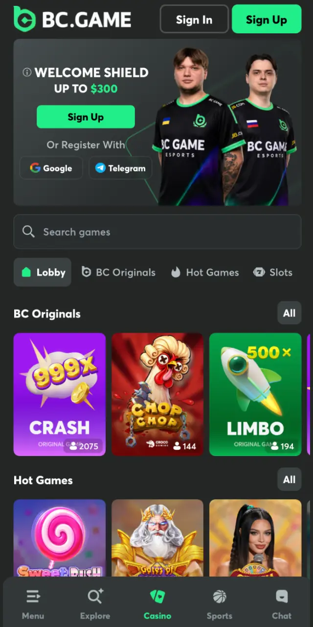 bc game app interface casino
